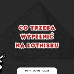Urocza postać w stroju faraona trzyma dokument, a na tle piramidy widnieje napis "Co trzeba wypełnić na lotnisku", sugerujący formalności związane z wizą do Egiptu.