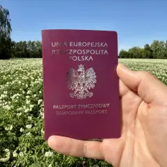 Paszport tymczasowy dla dziecka w dłoni na tle kwitnącego pola ziemniaków.