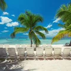 Rajska plaża z palmami i leżakami. Zastanawiasz się, ile się leci na Dominikanę? To idealne miejsce na relaks!