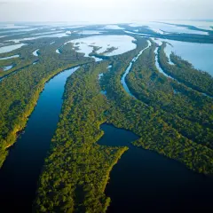 Rozlewiska Amazonii, labirynt rzek i bujnej zieleni, tworzą zapierający dech w piersiach krajobraz.