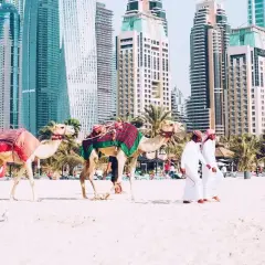 Dwa wielbłądy na plaży w Dubaju, z dwoma mężczyznami w tradycyjnych strojach. Zastanawiasz się, ile się leci do Dubaju?