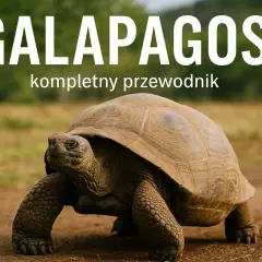 Wielka żółw przemierza suchą ziemię na wyspie Galapagos. Napis "GALAPAGOS" i "kompletny przewodnik" sugeruje, że to okładka książki.