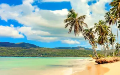 Rajska plaża z palmami i turkusową wodą, idealne miejsce na egzotyczne wakacje.