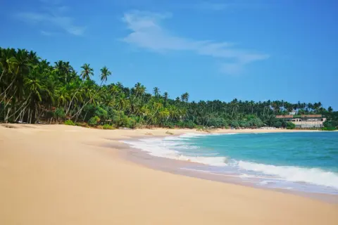 Rajskie Sri Lanka plaże z palmami i turkusową wodą. Idealne miejsce na relaks.
