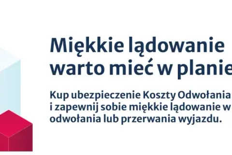 Kobieta z paszportem i pieniędzmi, gotowa do podróży. Warta ubezpieczenie od rezygnacji z podróży zapewni Ci miękkie lądowanie.