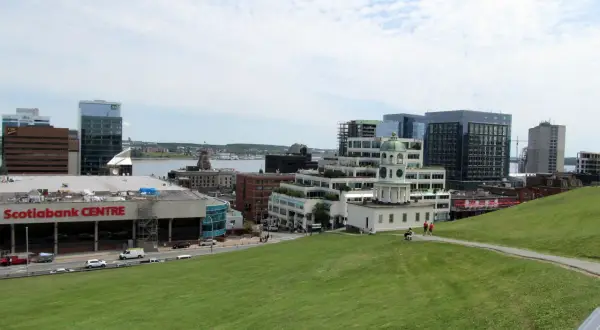 Widok na centrum Halifax z zielonym wzgórzem i budynkami, w tym Scotiabank Centre.