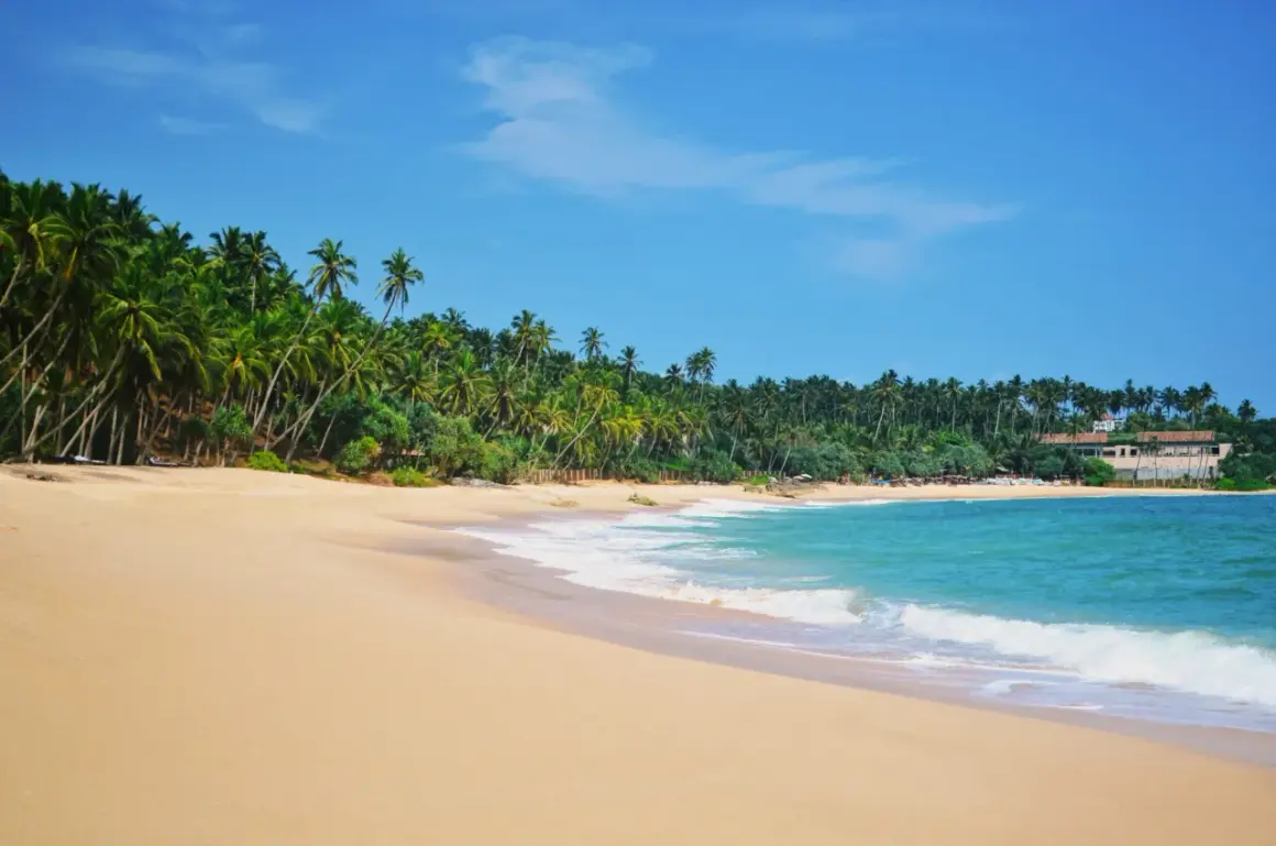 Rajskie Sri Lanka plaże z palmami i turkusową wodą. Idealne miejsce na relaks.