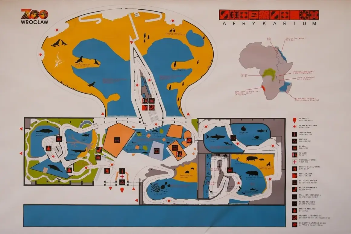 Mapa Afrykarium Wrocław. Plan obiektu z zaznaczonymi zwierzętami i atrakcjami, idealny do planowania wizyty i zakupu biletów.