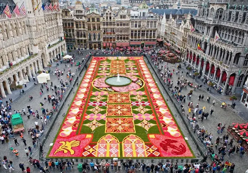 Grand-Place Bruksela dywan kwiatowy