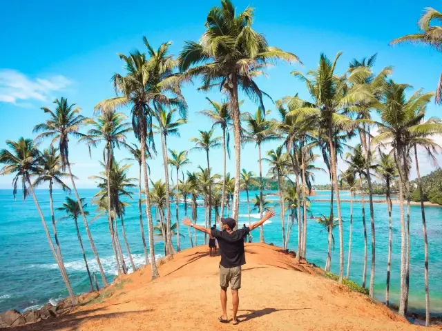 Wspaniałe loty na Sri Lankę! Człowiek z rozłożonymi rękami na tle palm i turkusowego oceanu.